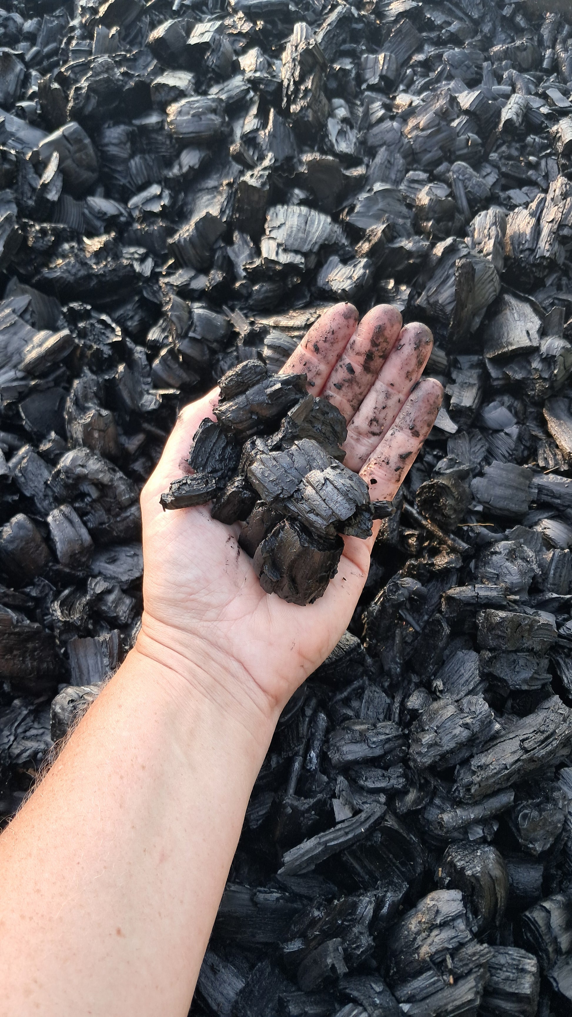 Charged Biochar