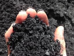 Biochar- COMING SOON