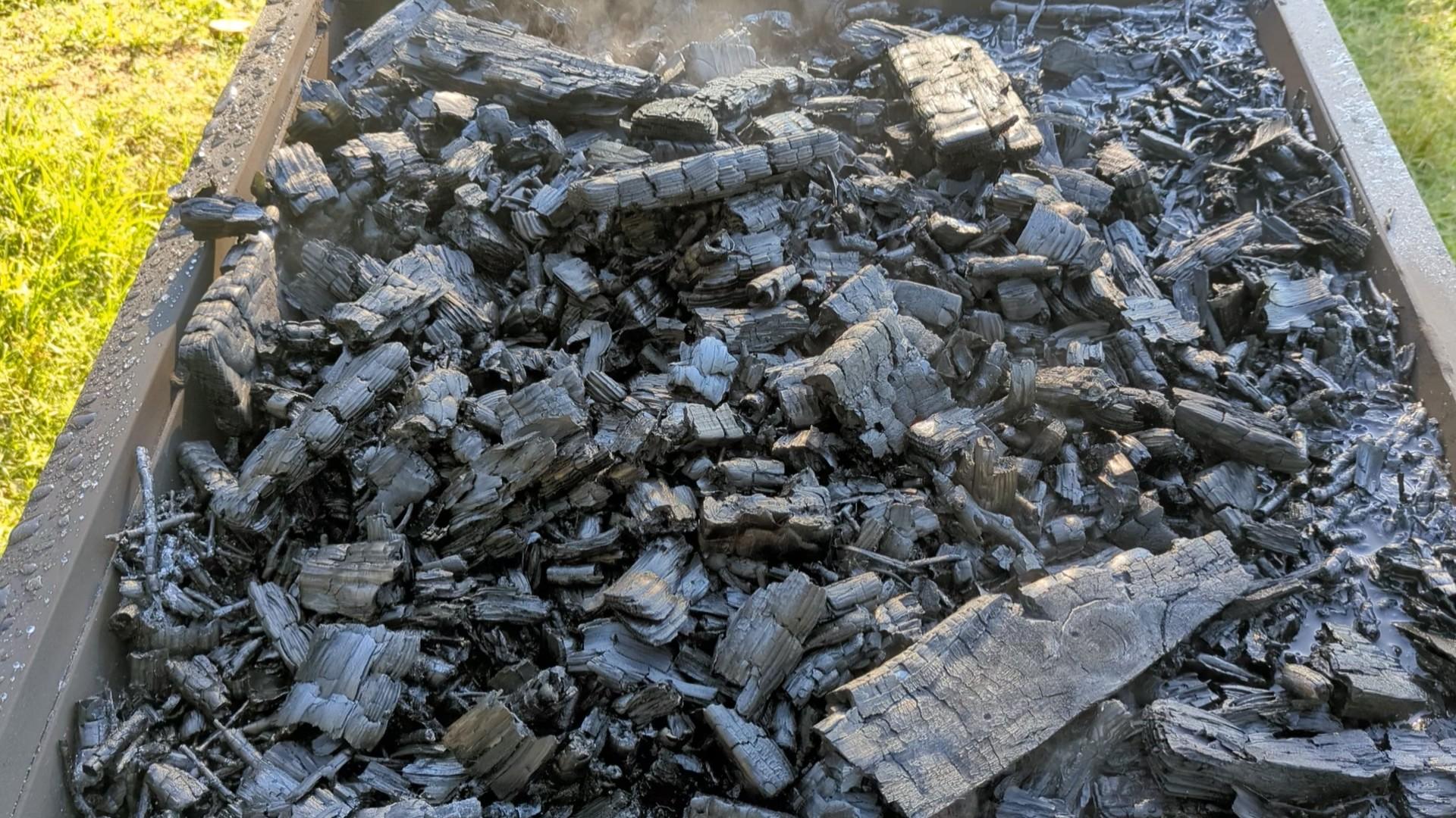 Charged Biochar