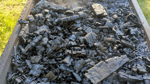 Charged Biochar